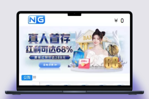 NG接口、电子真人、高仿NG体育、棋牌以及net前端后端