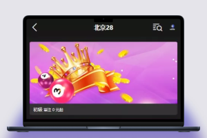 云鼎国际多语种彩票源码+海外彩票源码+无限加彩+代理系统+机器人自动投注+批量预设开奖+前端HTML+后端PHP